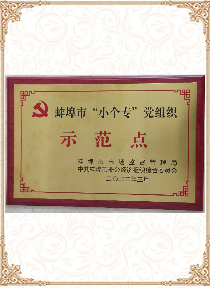 蚌埠市“小個?！秉h組織示范點